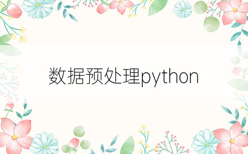 数据预处理python