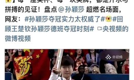 中国青少年足球训练教学大纲美洲踢足球厉害的球队南美杯决赛看台摇晃动图